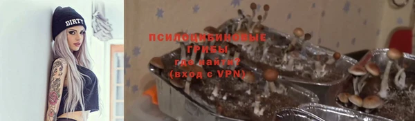 индика Абдулино