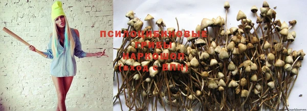 герыч Алексин