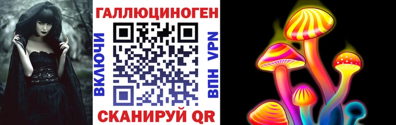Псилоцибиновые грибы Cubensis  даркнет сайт  Зубцов 